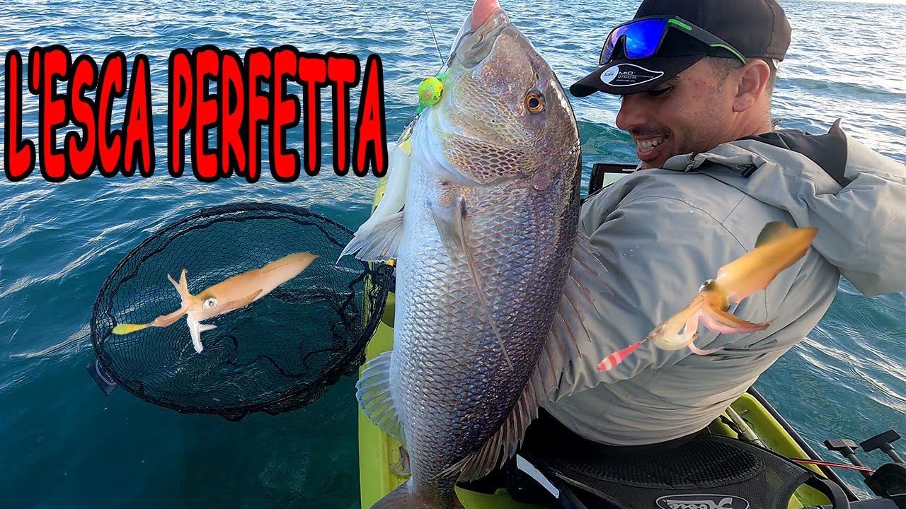 L'ESCA PERFETTA - DENTICE in verticale con il VIVO