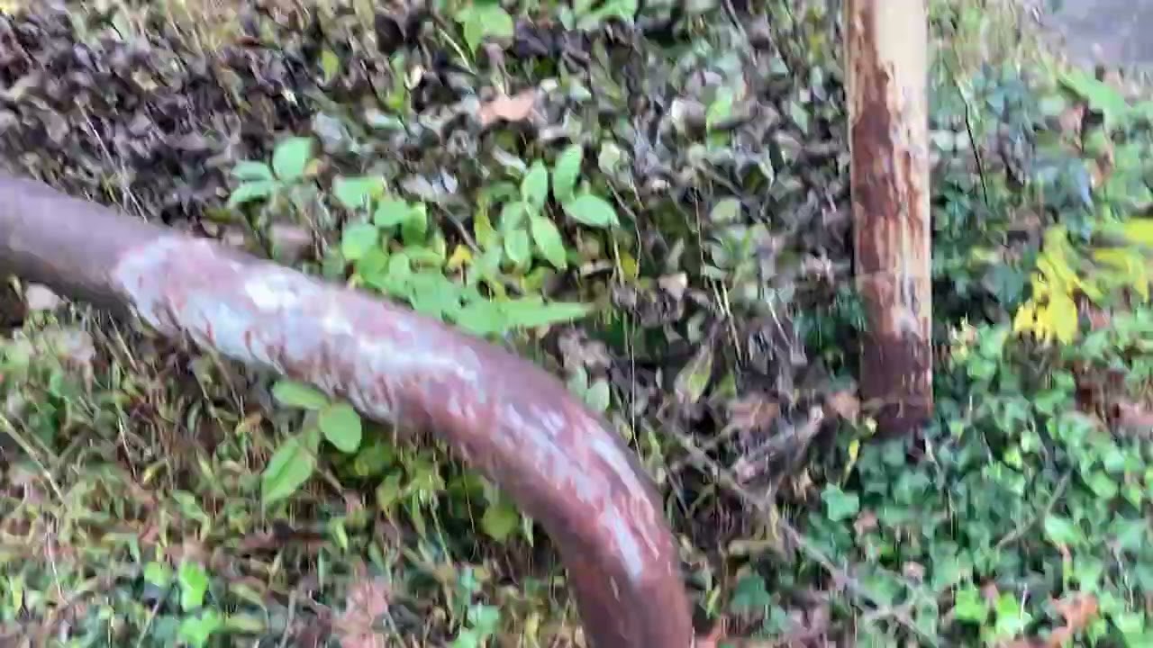 Abandoned Rocky Springs Amusement Park-Lancaster, PA