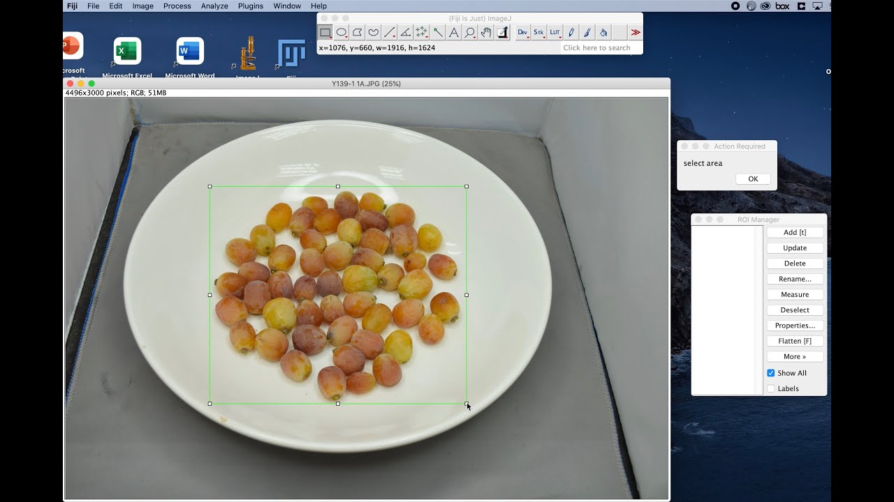 How to Batch Crop Your Images in ImageJ / Fiji
