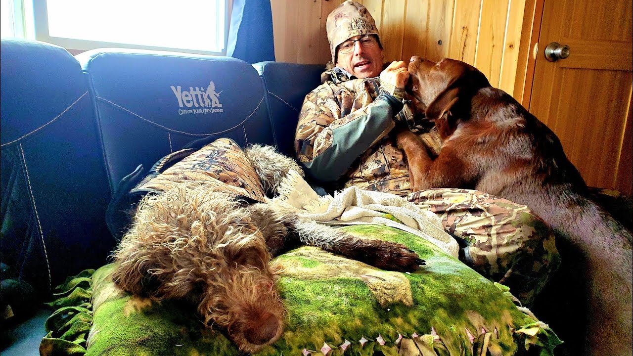 Ice Fishing With The Dawgs | YETTI Fish House | GREAT DAY!!!