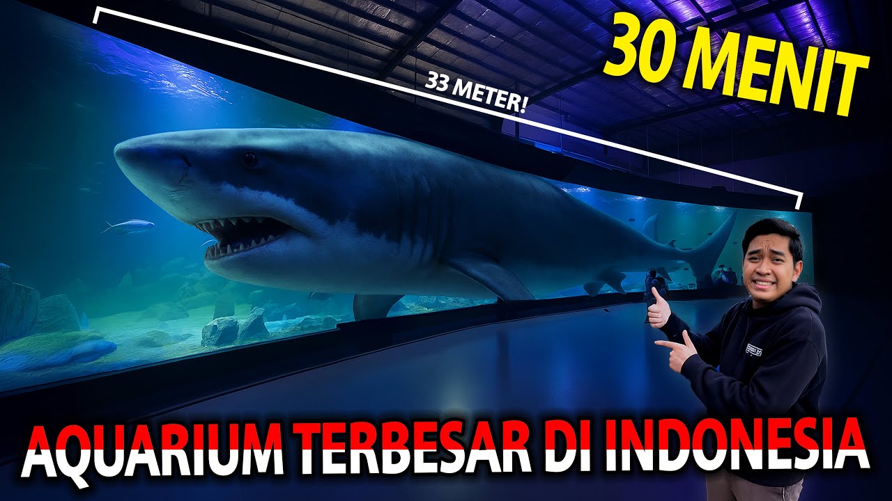 30 MENIT DI AQUARIUM TERBESAR SE INDONESIA! AQUARIUM PANGANDARAN! ADA IKAN HIU JADI-JADIAN!