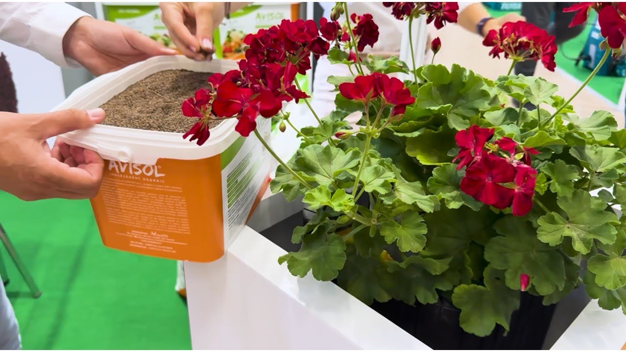 &Icirc;ngrășăminte organice pentru plante decorative și grădină produse la Golești, Vrancea