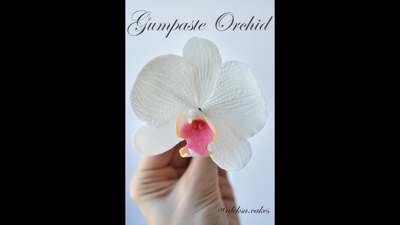 Gumpaste Orchid Tutorial. Орхидея из мастики. Sugar Flowers. Fondant.