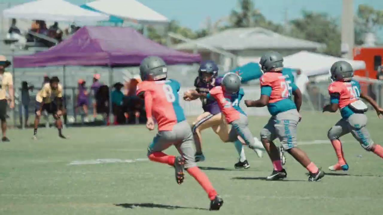 PAL Stingrays vs Cypress Lake Hornets