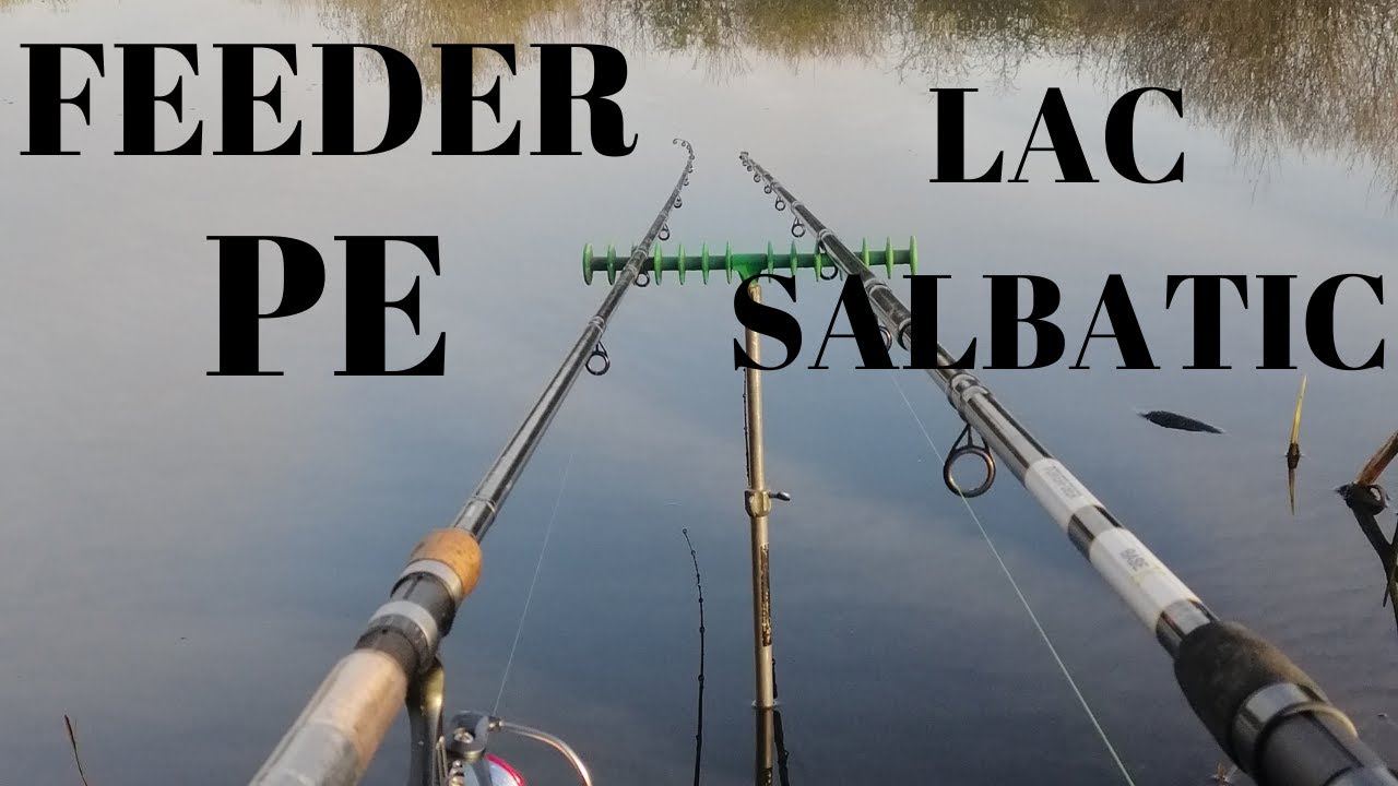 PESCUIT LA FEEDER PE BALTA SALBATICA