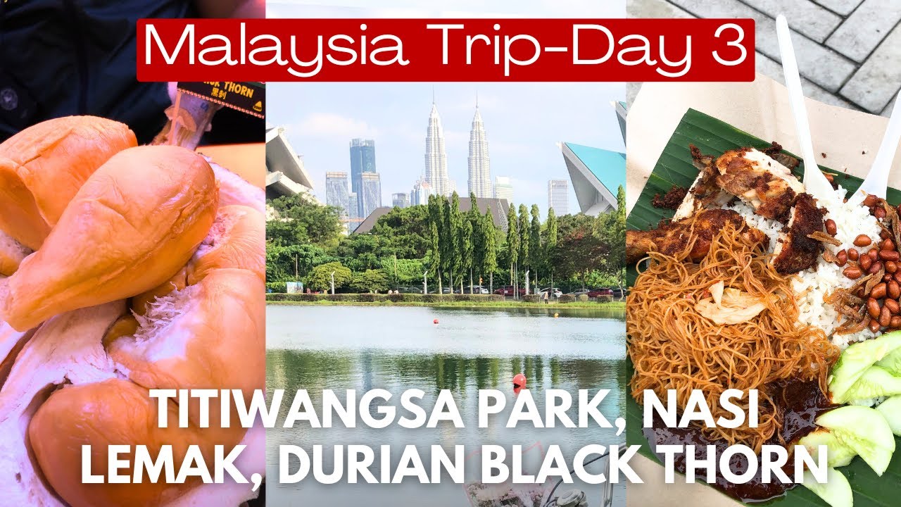 [Travel Vlog] Malaysia Trip Day 3 - Titiwangsa Park, Alor Culinary, Durian Black Thorn