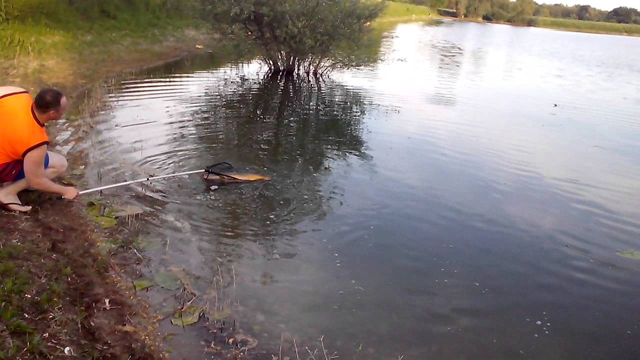 Linjak palovec i zlicko