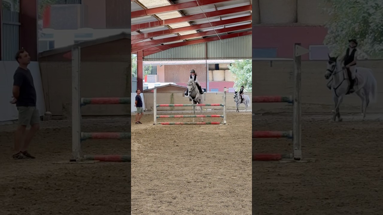 Paddock d&rsquo;entra&icirc;nement avant notre &eacute;preuve ⚡️ #equitation #poney #cheval #cso #equestrian