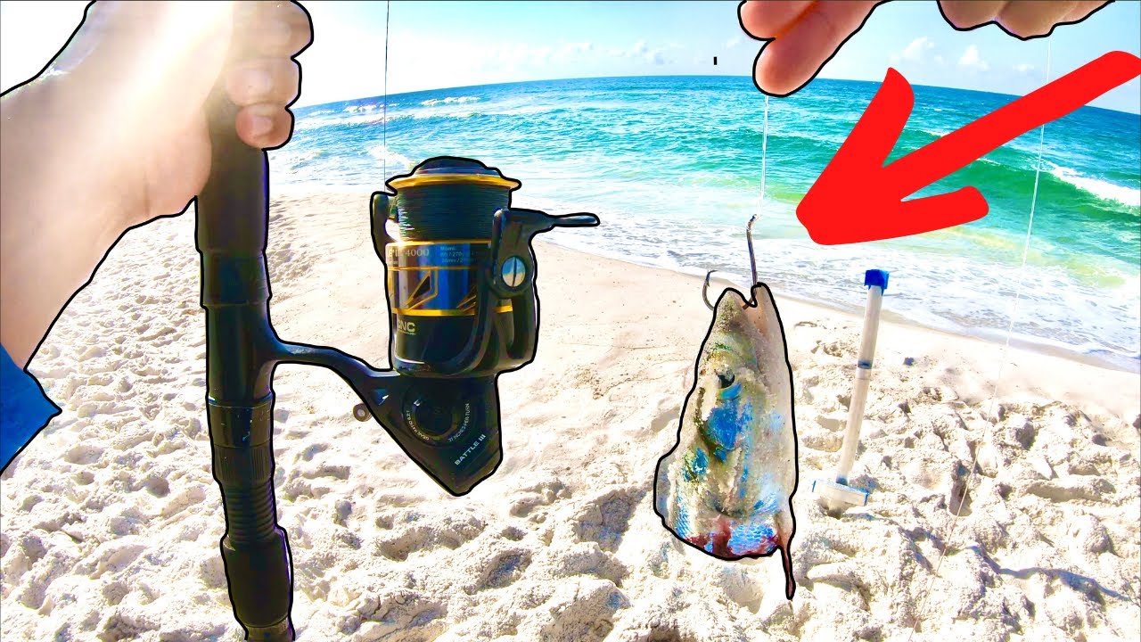 I Threw Out This Bait Surf Fishing...Then This Happened!