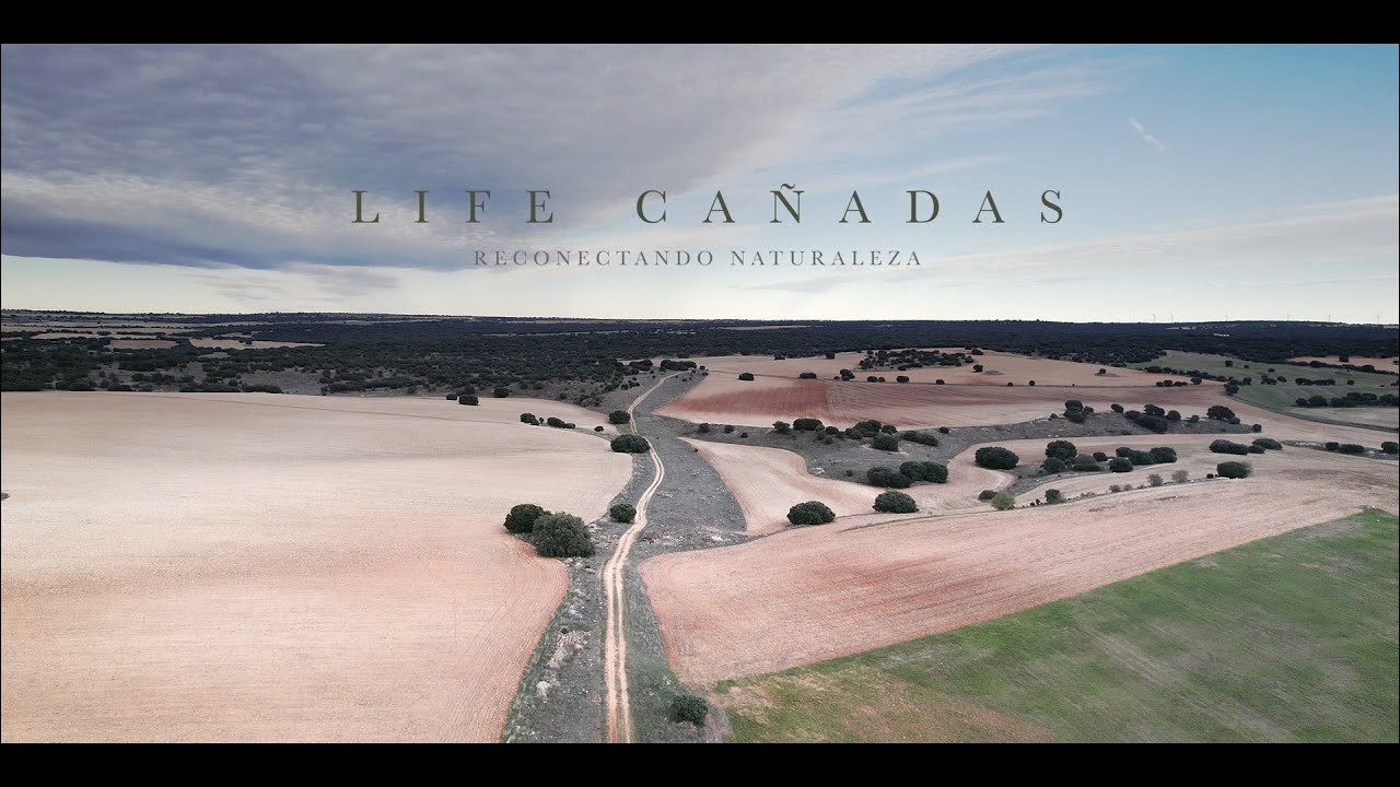 LIFE CA&Ntilde;ADAS Reconectando Naturaleza