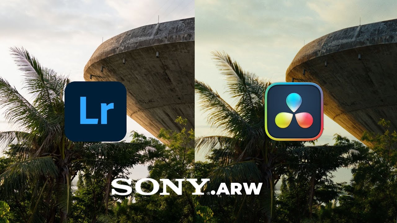 Почему мои фотографии Sony выглядят лучше в Resolve, чем в Lightroom