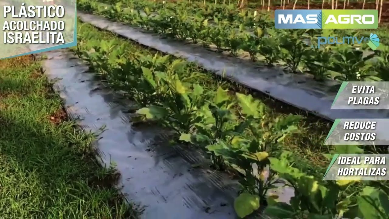 🌱 LO MEJOR EN PROTECCI&Oacute;N PARA TU CULTIVO!🌱