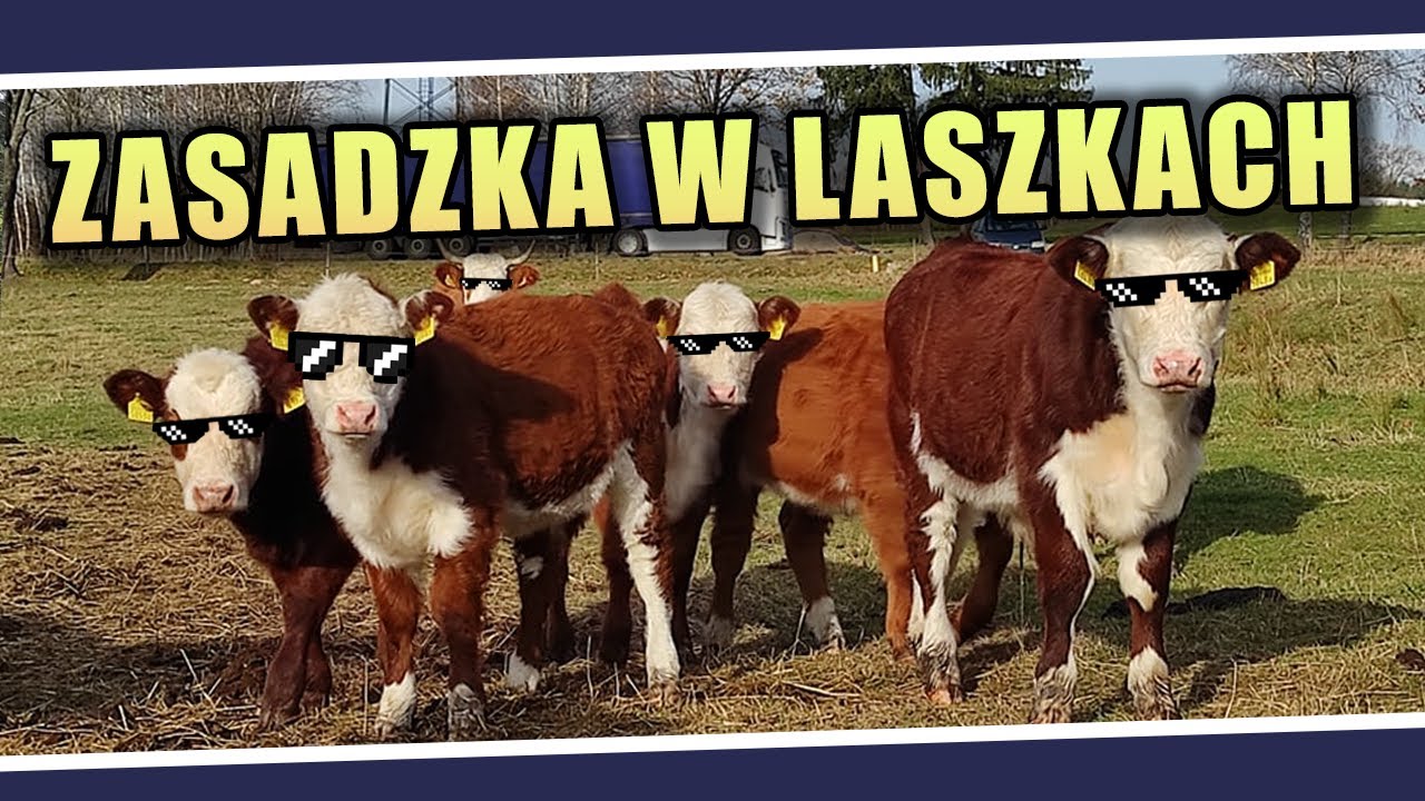 Zasadzka w Laszkach 😎