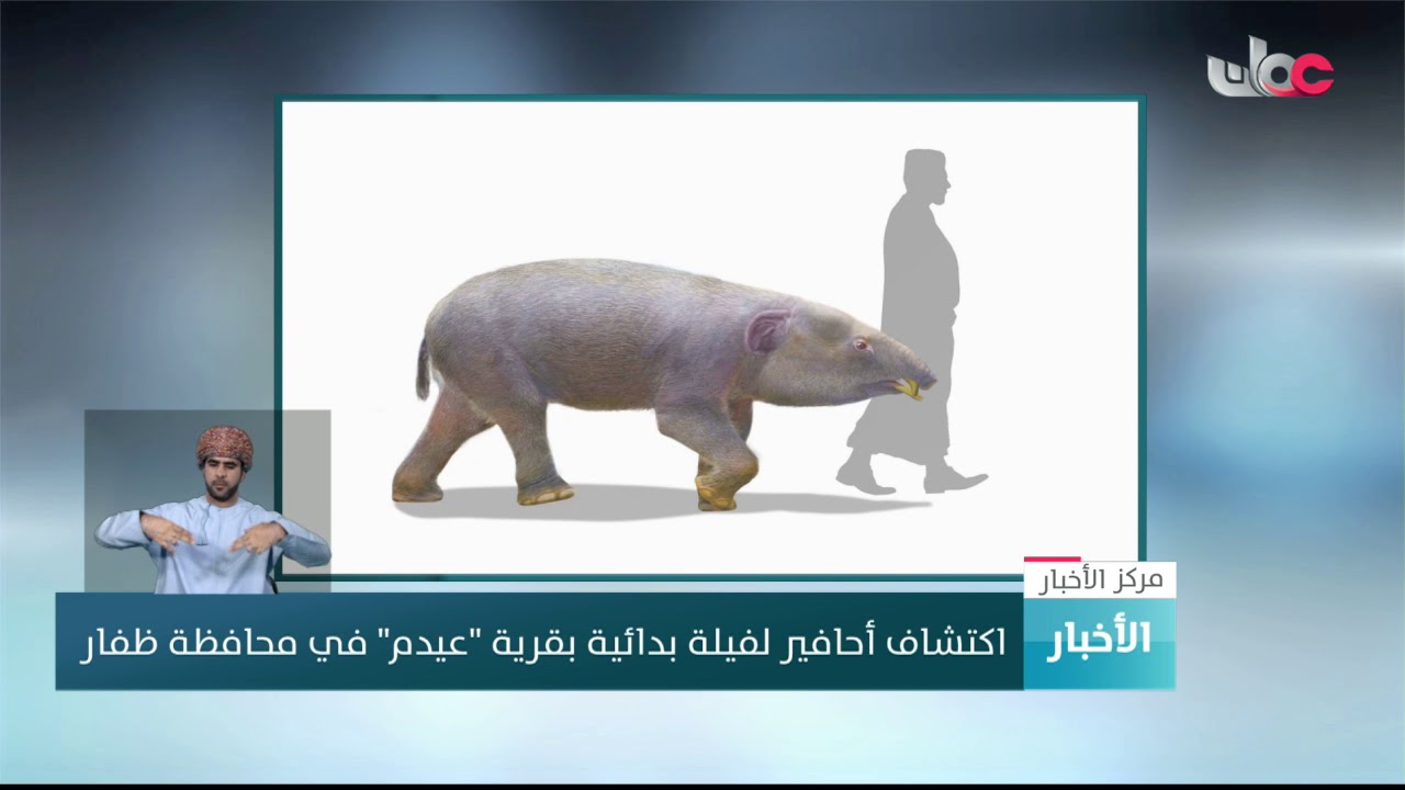 اكتشاف أحافير لفيلة بدائية تعود إلى أكثر من 50 مليون عام بقرية 