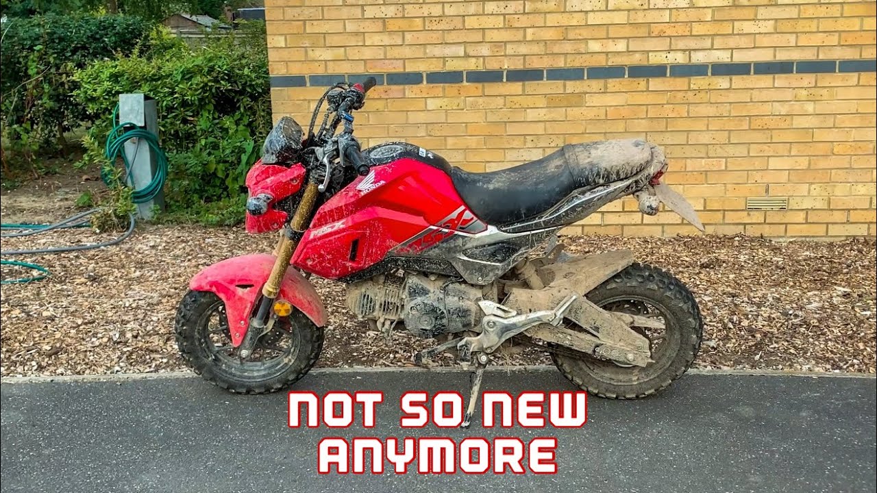 CLEANING MY GROM | 4K