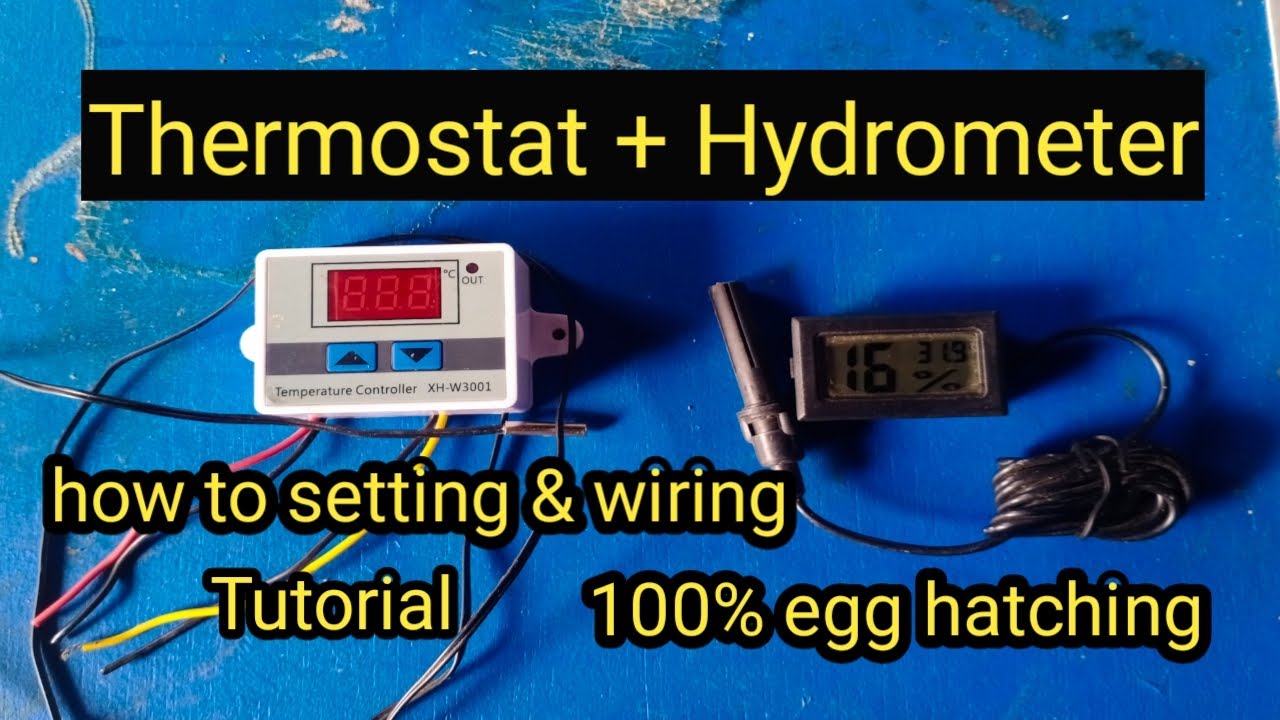 THERMOSTAT XH-W3001 | HYDROMETER | TUTORIAL WIRING SET UP (TAGALOG)