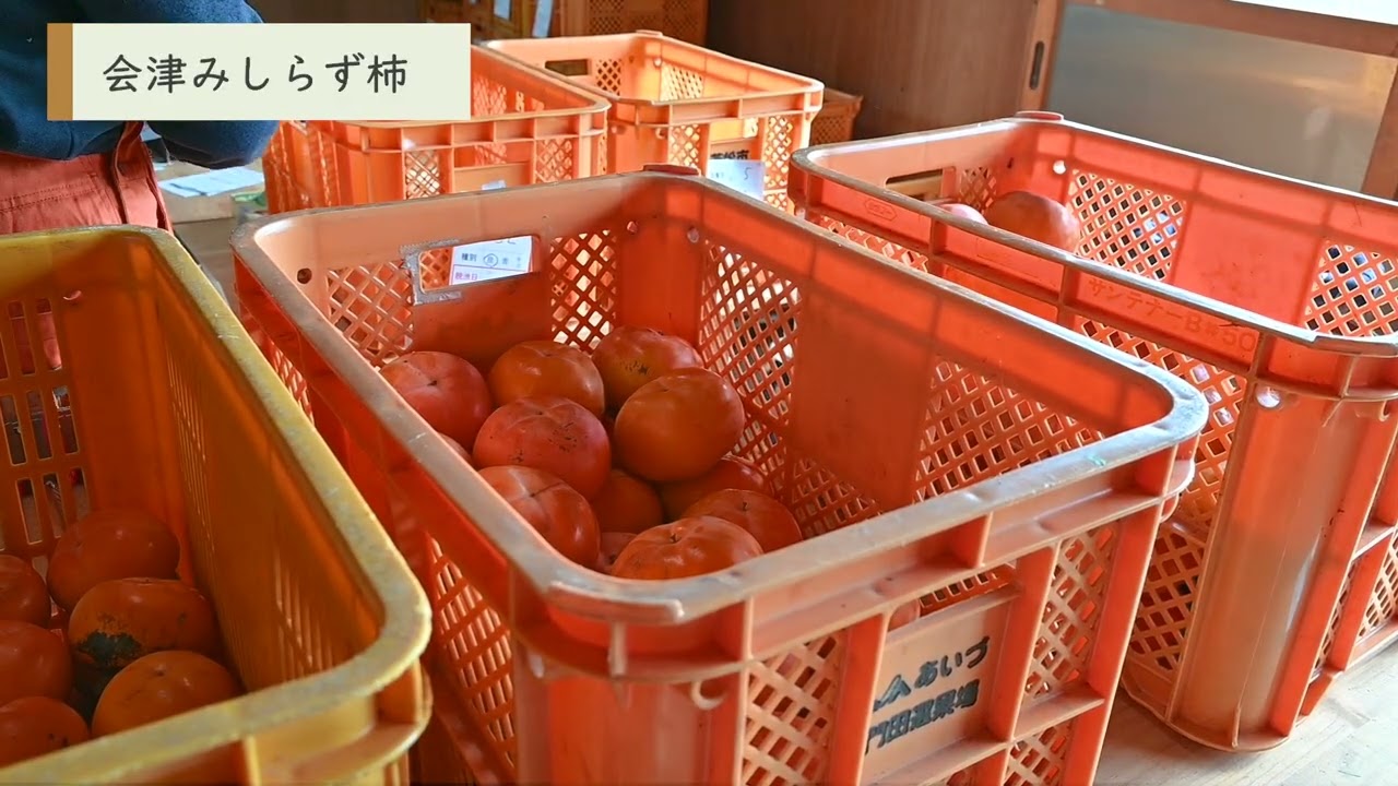 会津の風土が育む、「会津みしらず柿」と「日本酒」