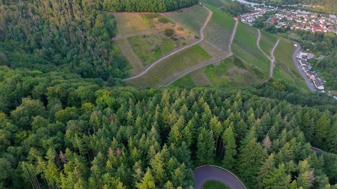 Landal Warsberg (Saarburg)