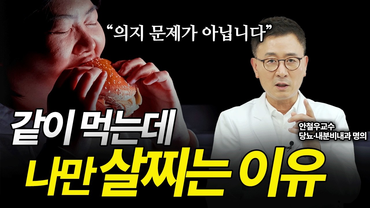 덜 먹어도 살이 찌는 이유… 답은 인슐린입니다 : 우리가 몰랐던 인슐린의 정체 ｜30년 임상 경험 강남세브란스 안철우 교수