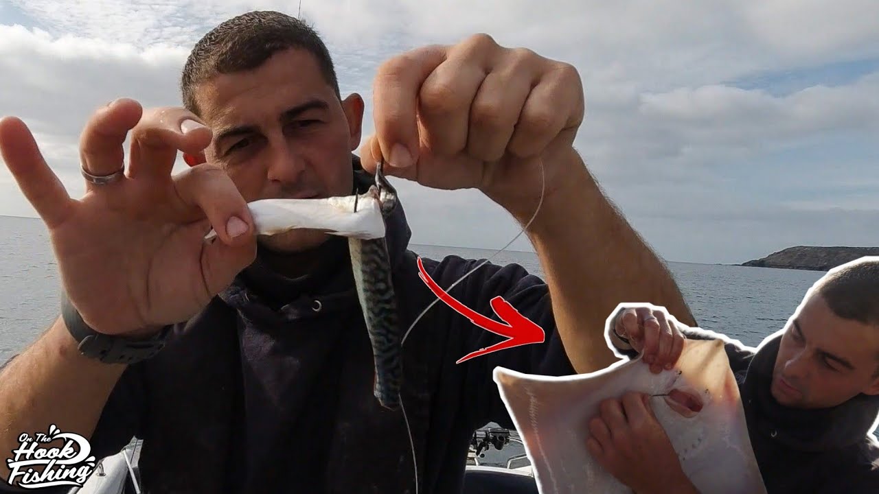 Sea Fishing UK - Ray fishing in a small boat with The Fish Locker - What rigs and bait to use!