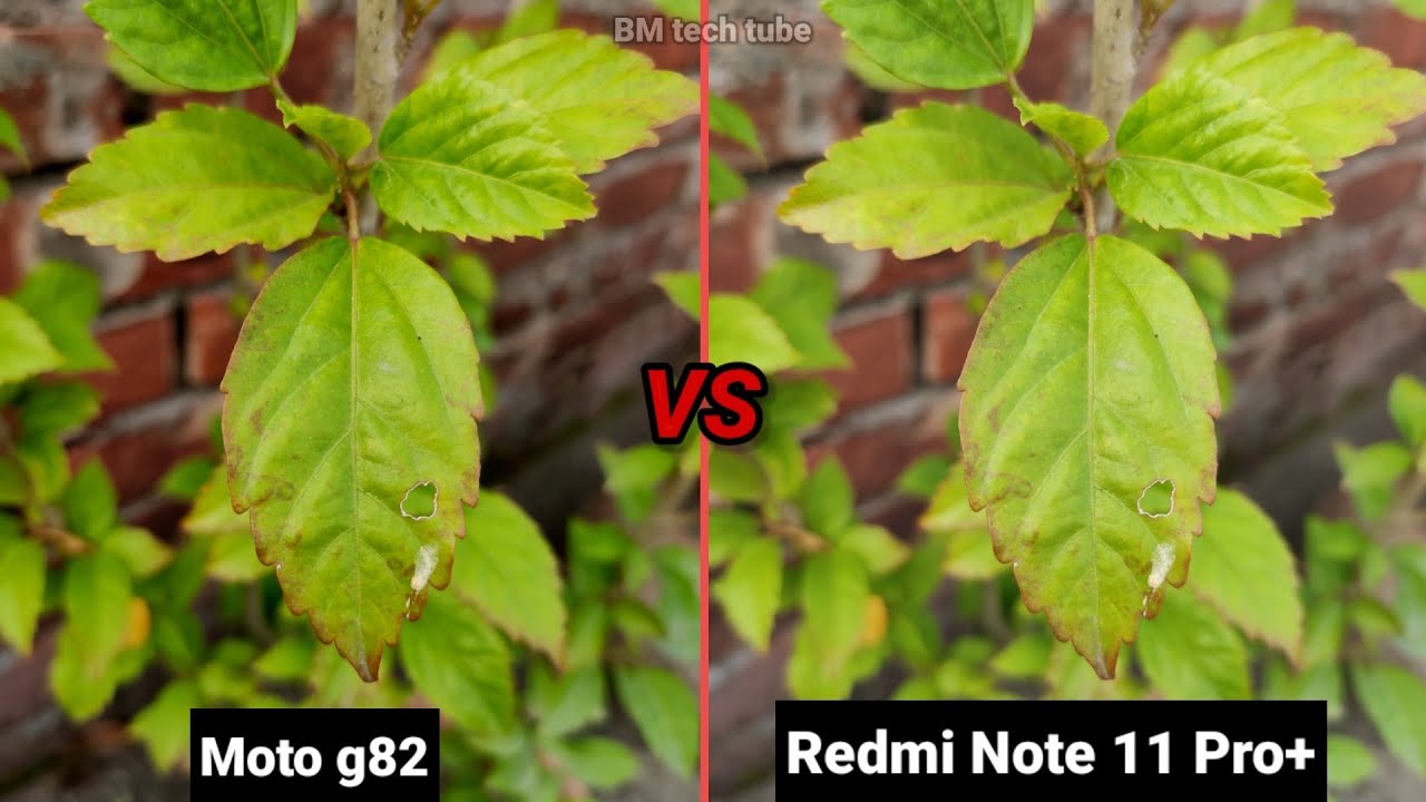 Moto g82 5g vs Redmi Note 11 pro + 5g Camera Comparison | Moto g82 Camera Review |
