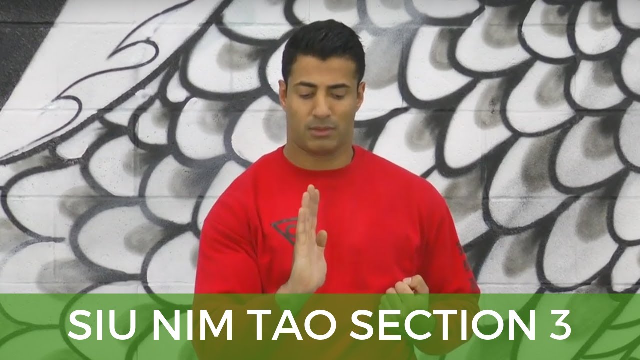 Siu Nim Tao -  Section 3