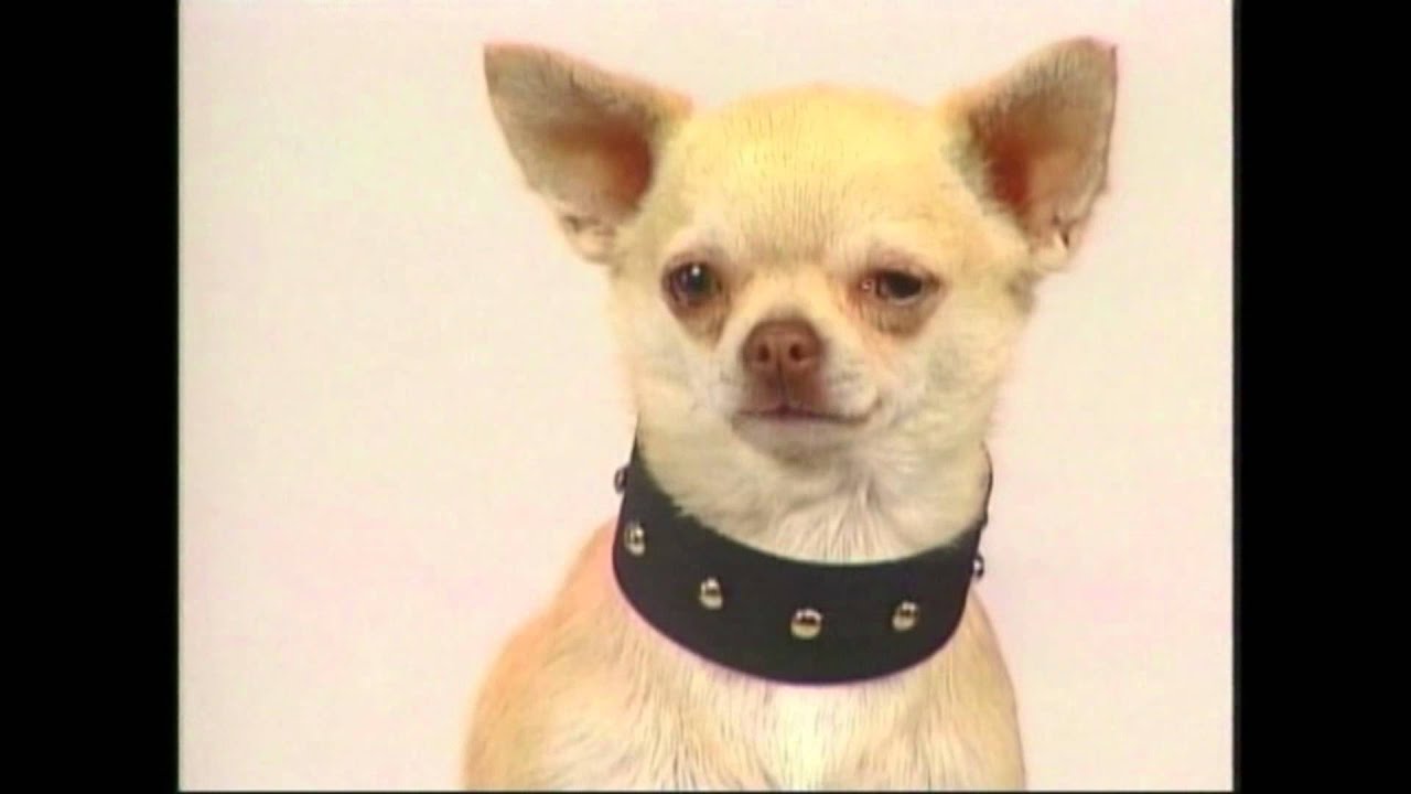 1998- Joel Bieber: I Love You Joel Bieber Commerical