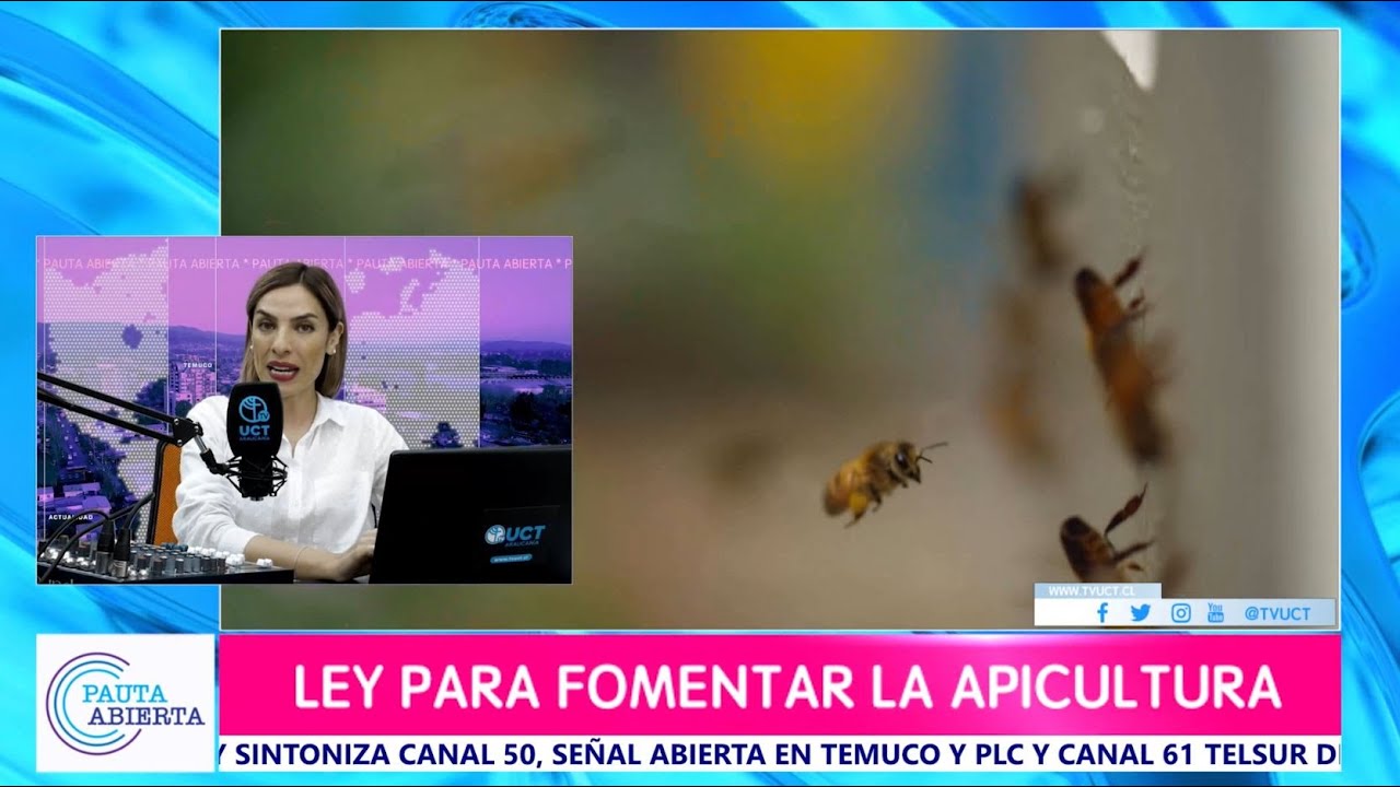 Pauta Abierta, T3, 19 de Octubre de 2022