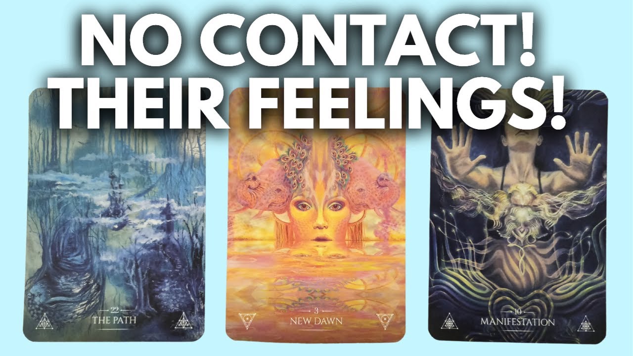 NO CONTACT! FEELINGS, ACTIONS, FUTURE, ADVICE.  PICK A CARD TIMELESS TAROT READING