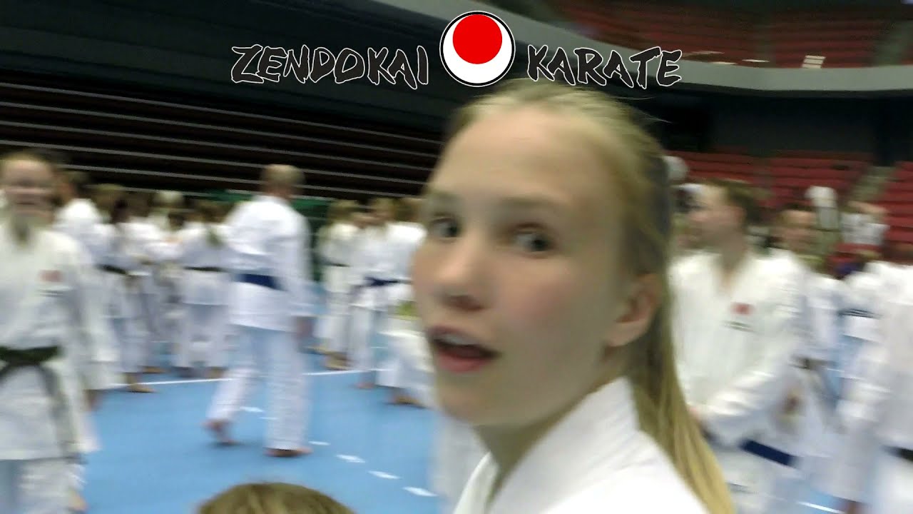 Zendokai international camp 2016.