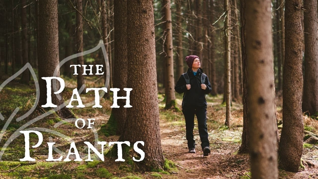The Path of Plants 🌵 THE SEVEN PATHS || Anasazi Foundation || Wilderness Therapy
