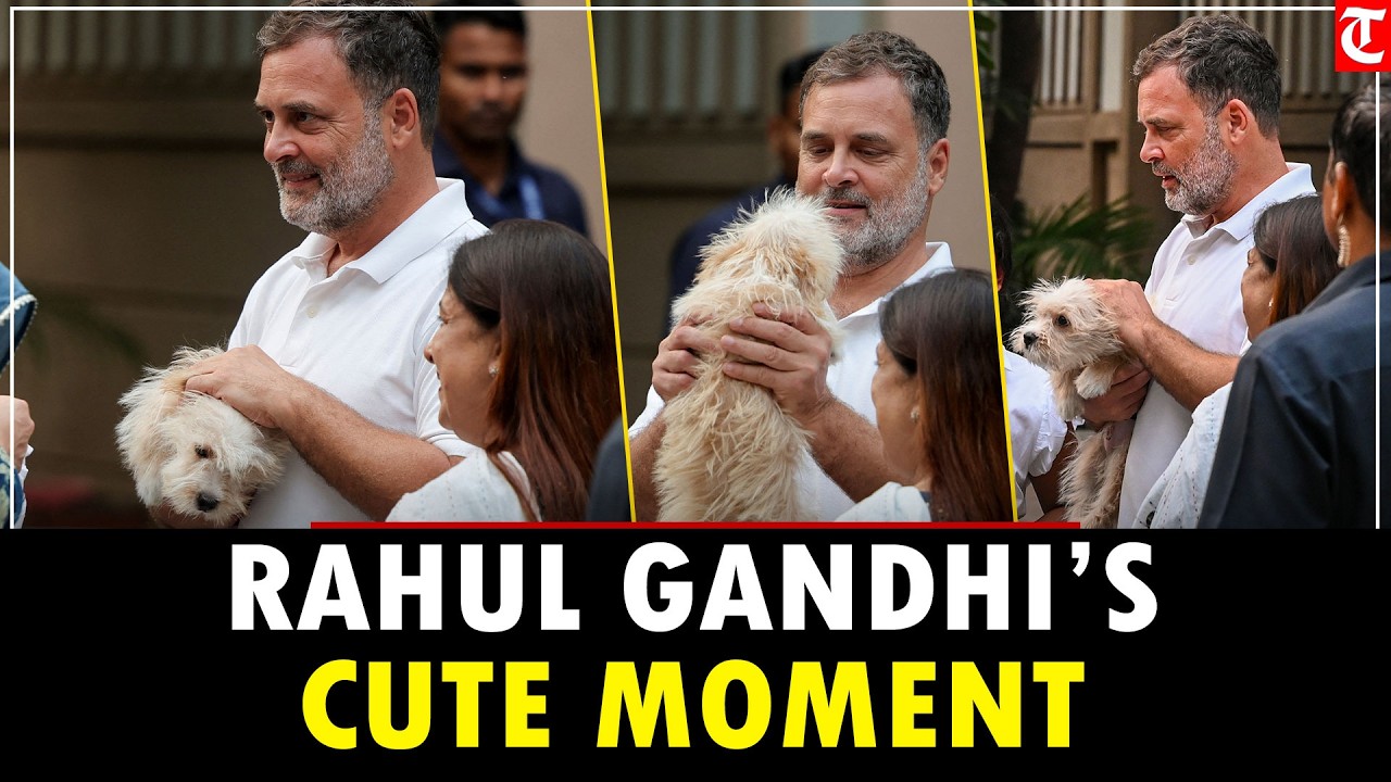 Rahul Gandhi Holds Girl&rsquo;s Pet Dog Beside Priyanka Gandhi at Congress HQ in Delhi