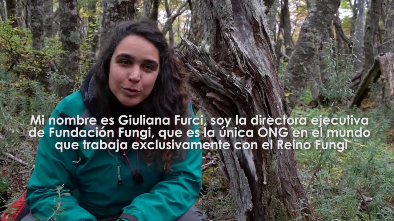 Hongos en Patagonia