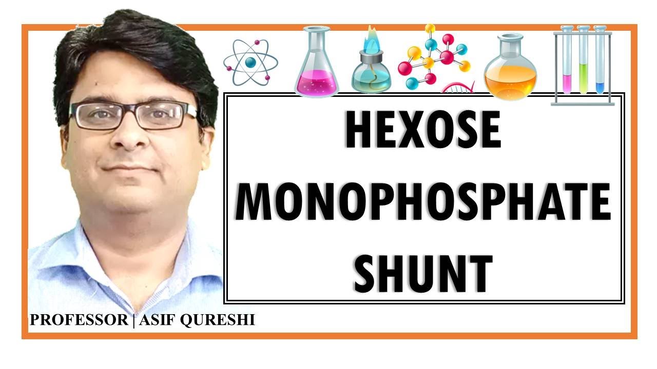 Hexose Mono Phosphate Shunt | Pentose Phosphate Pathway | HMP Shunt | Metabolism | BioChemistry