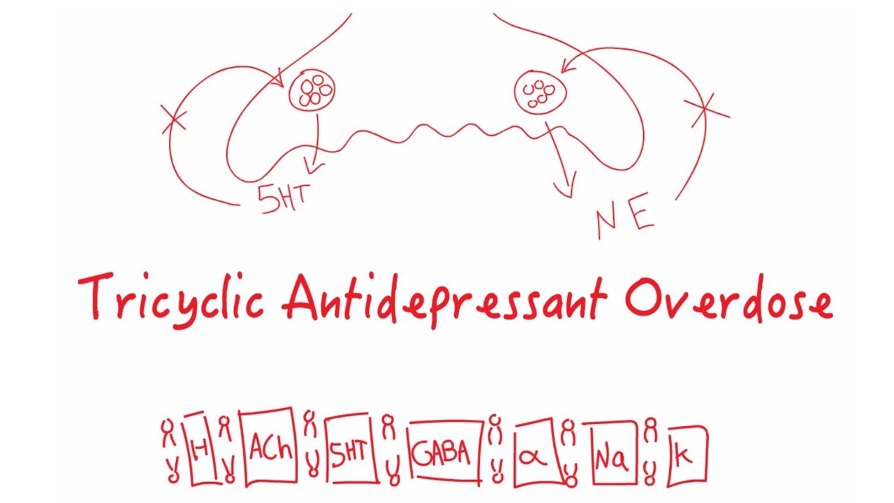 Tricyclic Acid Overdose -- BAVLS