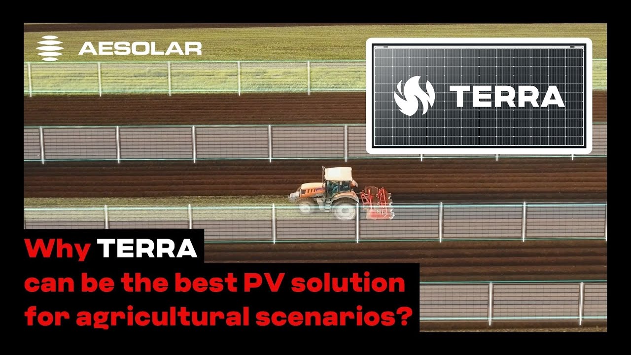 AESOLAR TERRA Module Can Be Your Best AGRI-PV Solution, Here Is Why