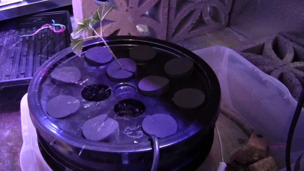 Hydro West 12 Site Clone Bucket Test