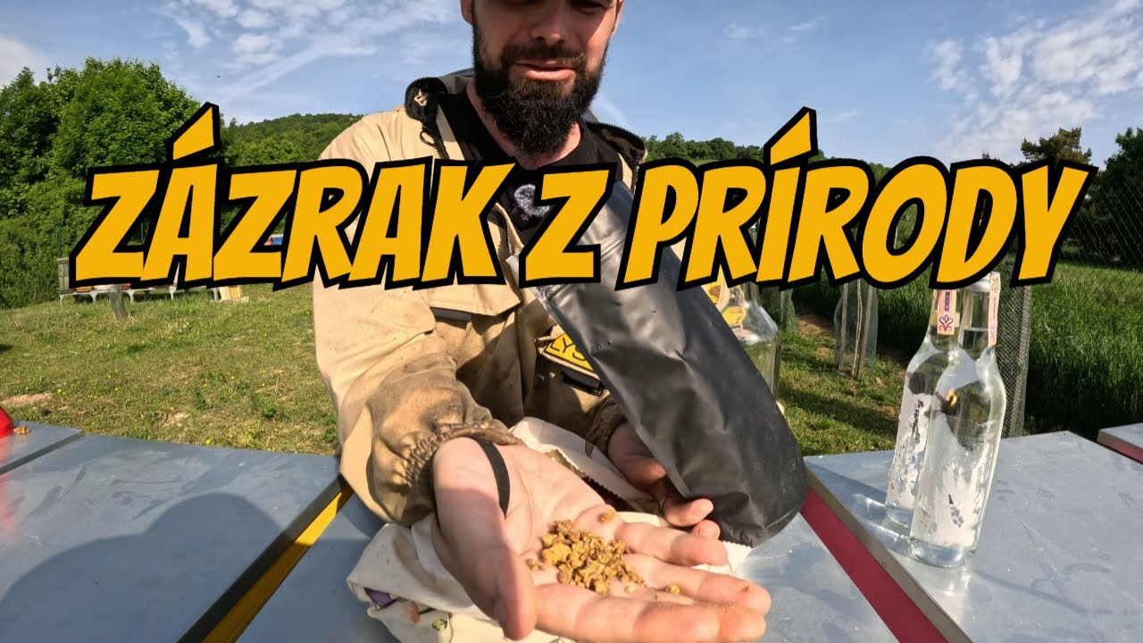Ako vzniká propolisová tinktúra a prečo ju ľudia používajú po stáročia
