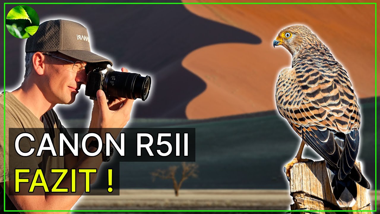 Canon R5 mark II in Namibia 📸🐦 Was kann sie gut, was nicht?