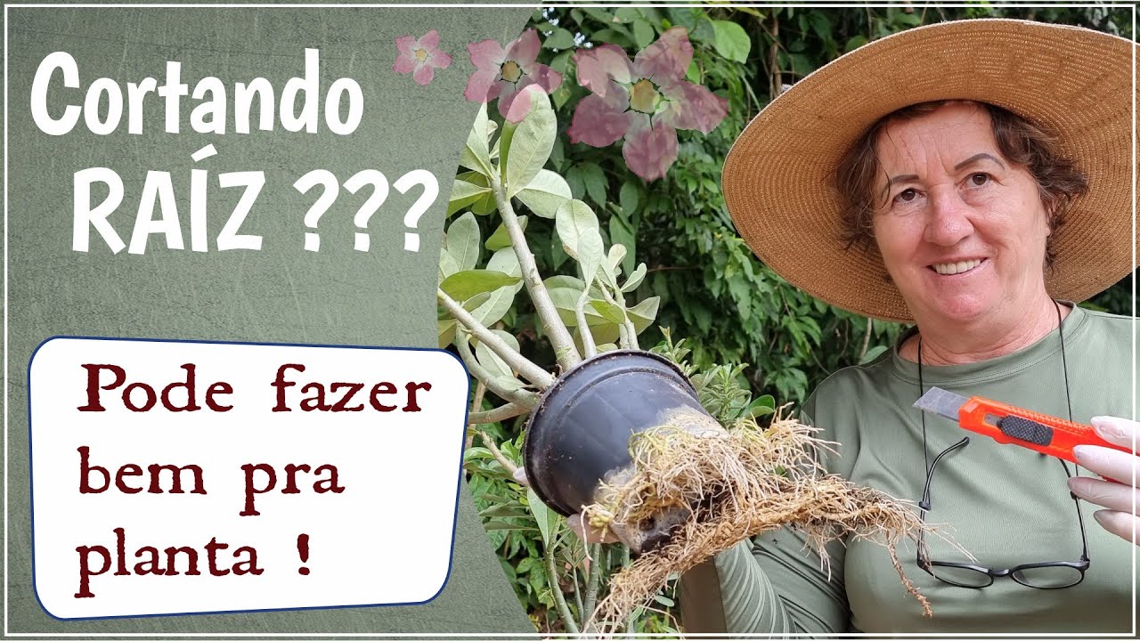 CORTAR RAÍZES? PODE SER QUE PRECISE!