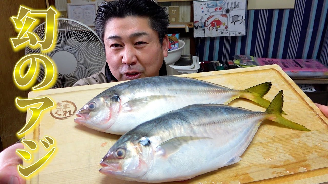 日本のごく一部でしか水揚げされない幻のアジを捌いたよ！