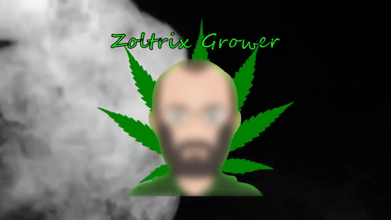 The Zoltrix Grower SUMMER GARDEN UPDATES BEGINNING!