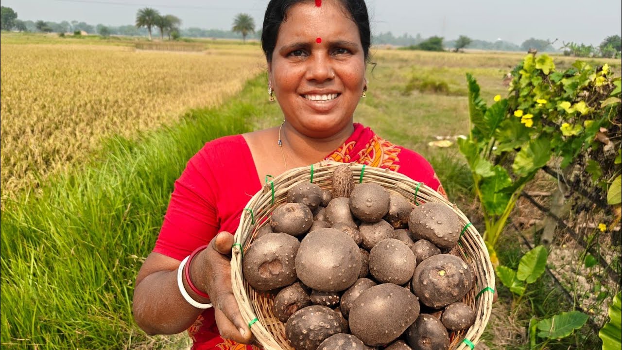 সত্যিই আজকে খুশির অন্ত নেই, ঘরটা অনেকদিন পর গুছালাম।