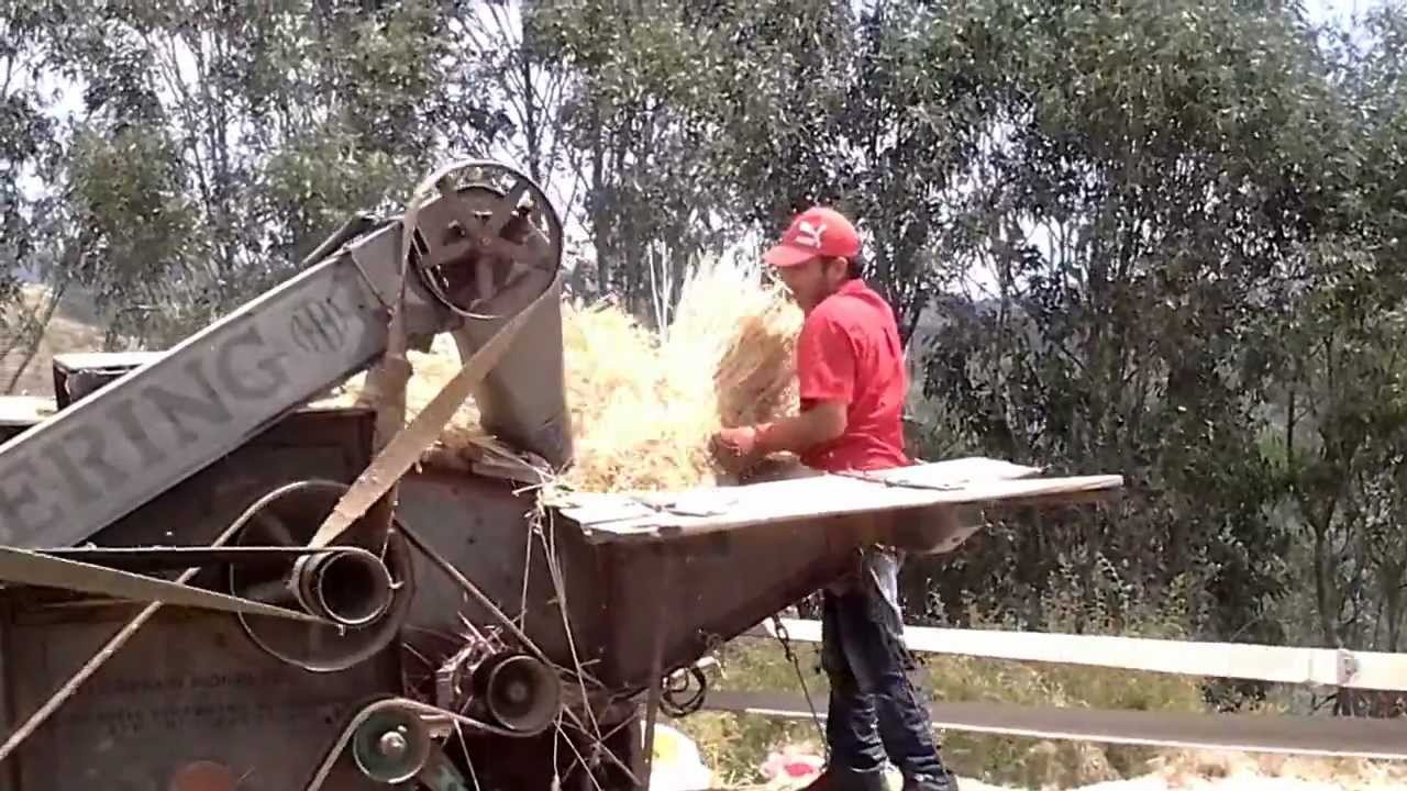 Trilla en sur de Chile