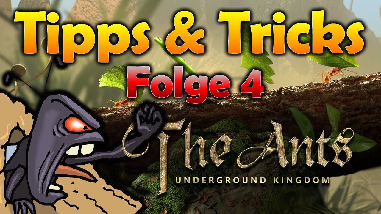 The Ants, Ameisen Armee, Profi-Einheit, Reihenfolge beim Angreifen / Folge 4