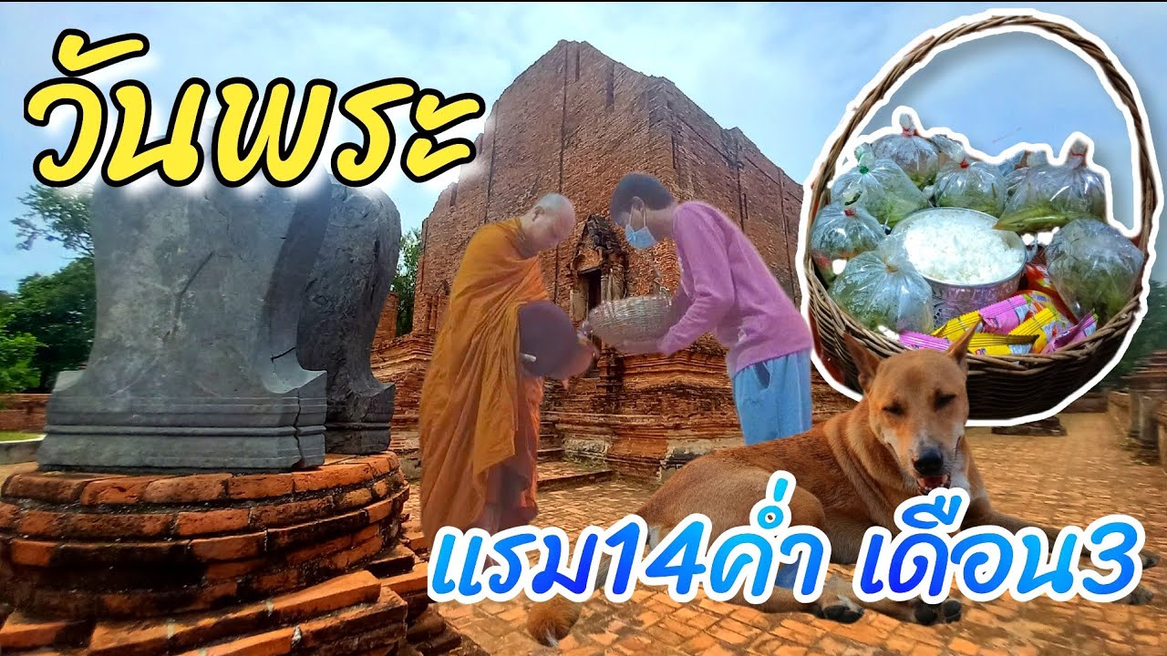🔴🐼LIVE วันพระ แรม14ค่ำ เดือน3 จันทร์ที่16ก.พ 69 #วัดมเหยงคณ์  #อยุธยา #Nopนพพลสตอรี่