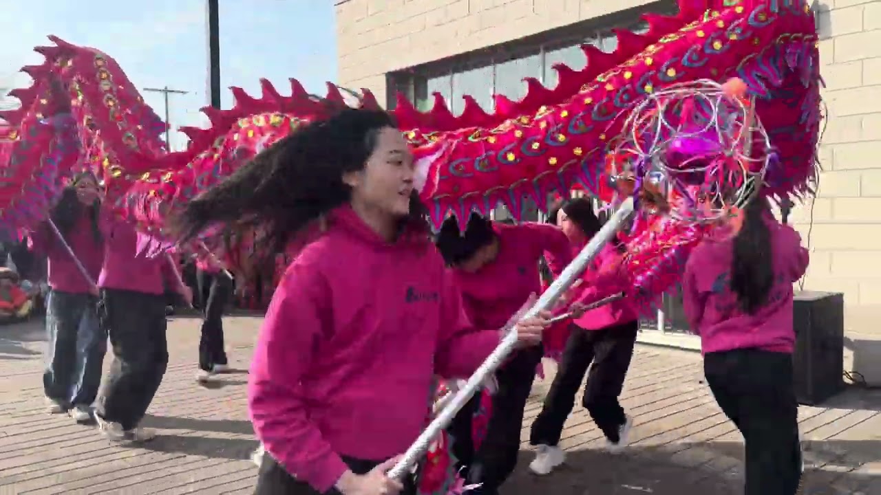 🐲Taiwan Dragon dance 🐉 - Lunar New Year 2026 🇺🇸🇹🇼