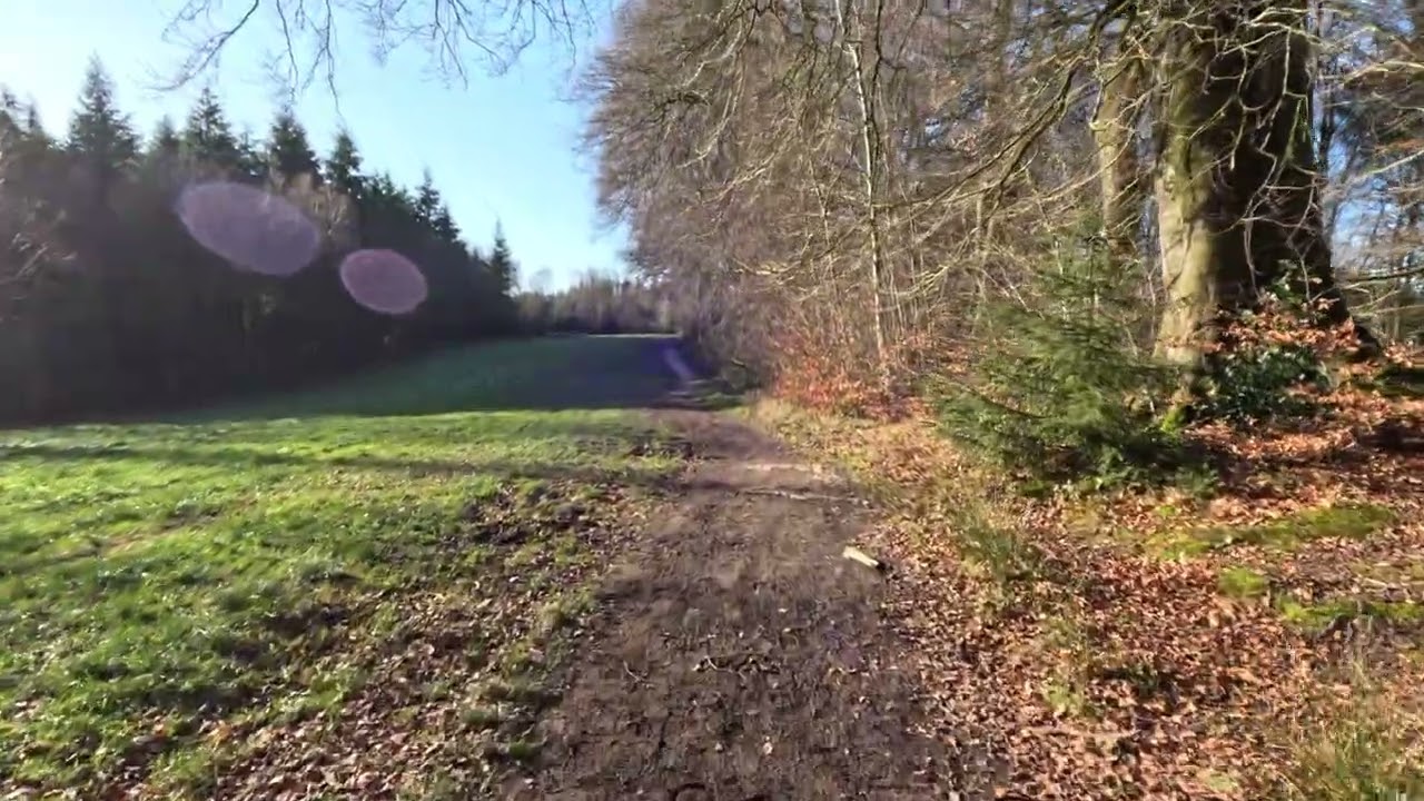 A Quiet Walk to Alfred's Tower