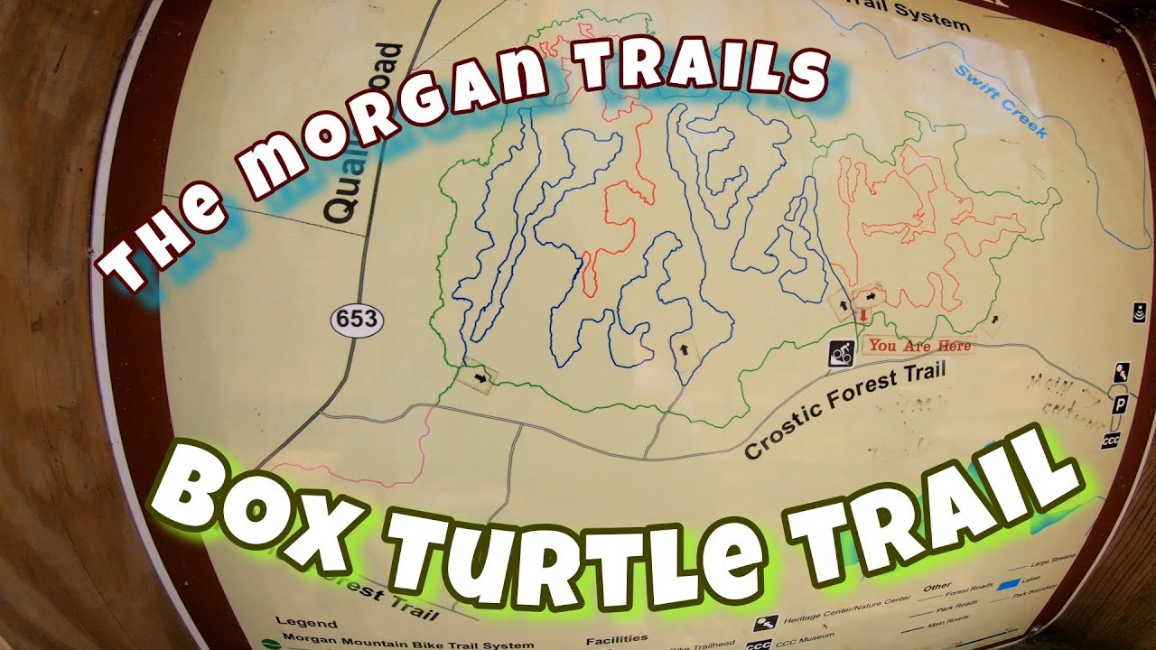 Pocahontas State Park Mountain Bike Trails: Box Turtle