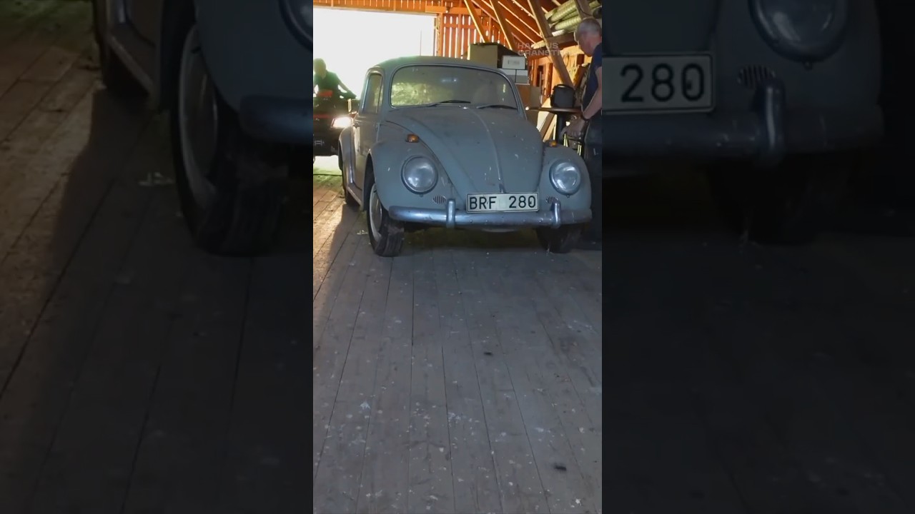 VW Beetle Barn Find rescued and given a new life!